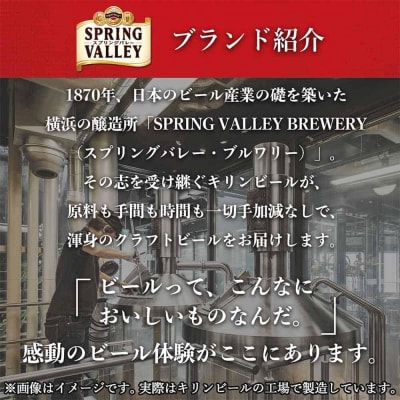 キリン SPRING VALLEY 豊潤ラガー496　500ml　1ケース(24本入)【横浜工場製】