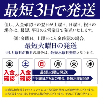 キリン のどごし〈生〉 500ml  1ケース(24本入)【横浜工場製】