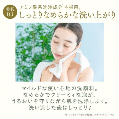 DHC マイルドモイスチュア ウォッシュ 1本