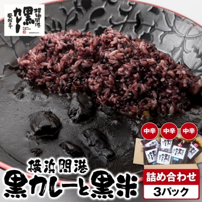 風我亭の横浜開港黒カレーと黒米の詰め合わせ　3パック【中辛3個】
