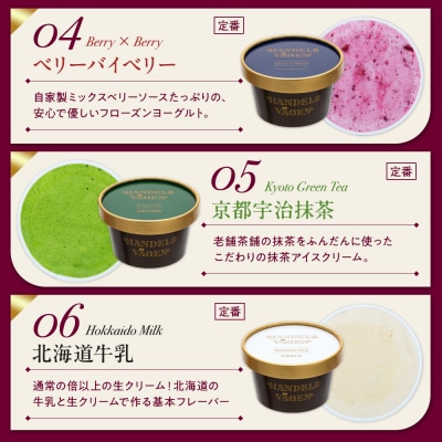 ハンデルスベーゲン 無添加アイスクリーム / 24個セット