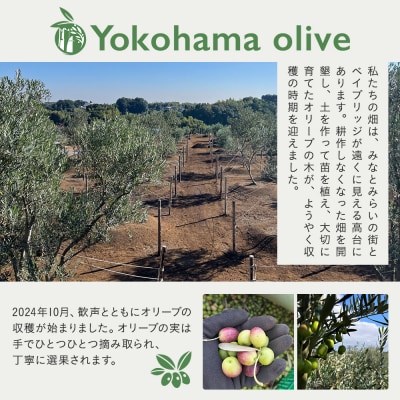 横浜オリーブ　The First　エクストラバージンオリーブオイル　100ml