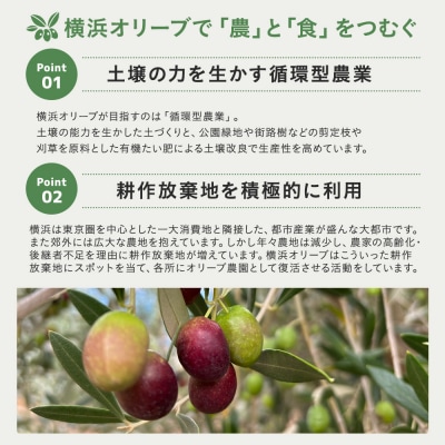 横浜オリーブ　エクストラバージンオリーブオイル　100ml