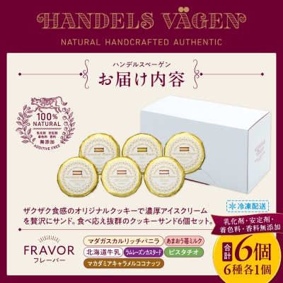 ハンデルスベーゲン無添加アイスクリーム/濃厚アイスクリームのクッキーサンド×6個のセット