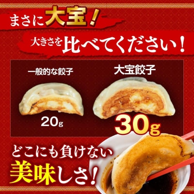 国産食材、銘柄豚使用!肉汁あふれる!【横浜大宝餃子】もちもち国産ジャンボ大宝餃子　30個×4