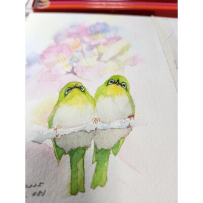 水彩画作品　No,483