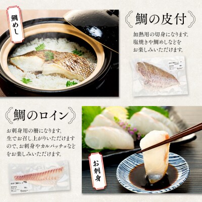 おめで鯛セット 1kg(調理レシピ付き)