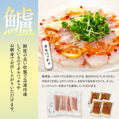 お刺身用・スズキのカルパッチョセット