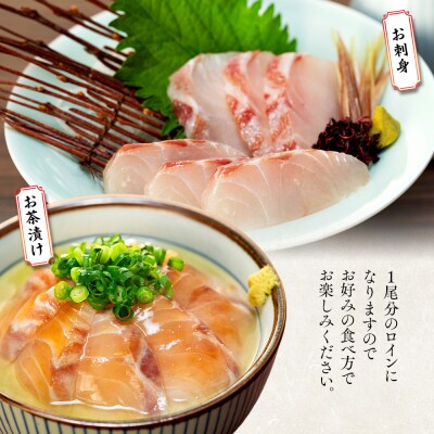 お刺身用・スズキのカルパッチョセット