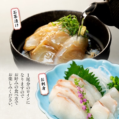 お刺身用・真鯛のカルパッチョセット