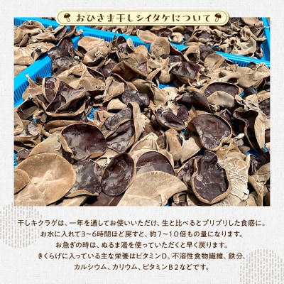 永島農園　おひさま干しキクラゲ70g入り袋 ×2袋