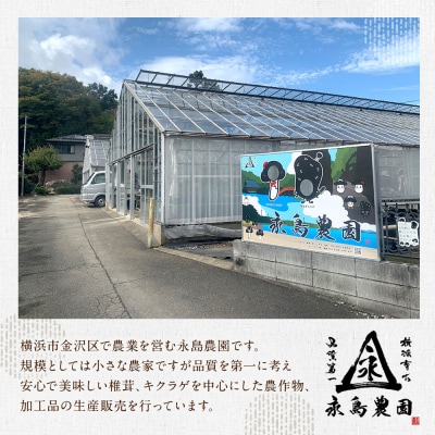 永島農園 おひさま生キクラゲ500g入り袋×2袋セット