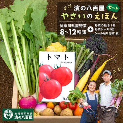 【濱の八百屋】やさいのえほんセット(8～12種類)