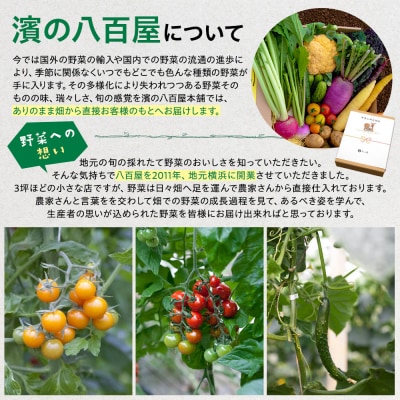 【濱の八百屋】やさいのえほんセット(8～12種類)