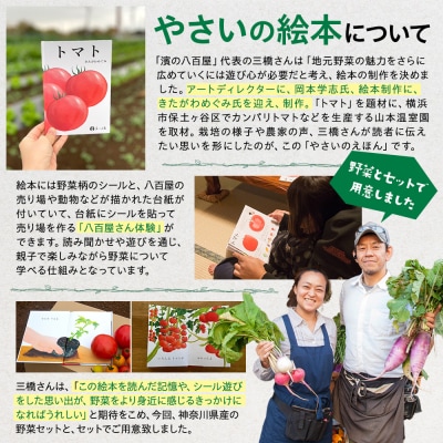 【濱の八百屋】やさいのえほんセット(8～12種類)