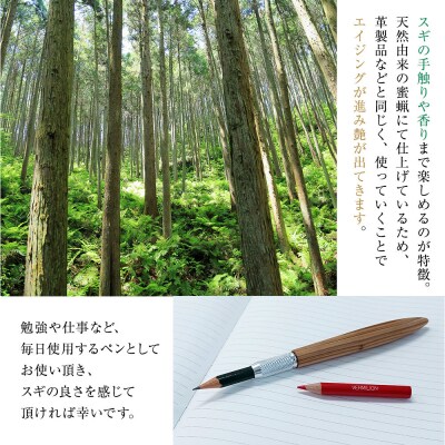 クリプトメリア ペンシルホルダー