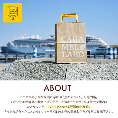 キャラメルショコラサンド　8個入