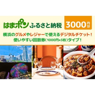 はまポンふるさと納税チケット3000円分(1000円×3枚)