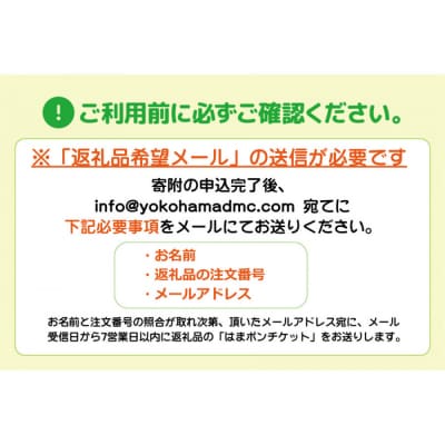 はまポンふるさと納税チケット3000円分(1000円×3枚)
