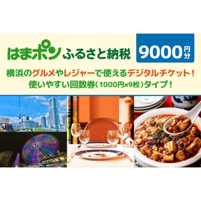 はまポンふるさと納税チケット9000円分(1000円×9枚)