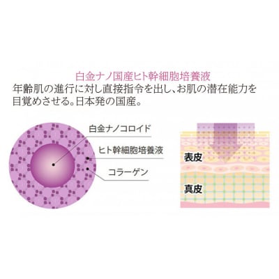 ストレピア　プラチナリフティクリームセット
