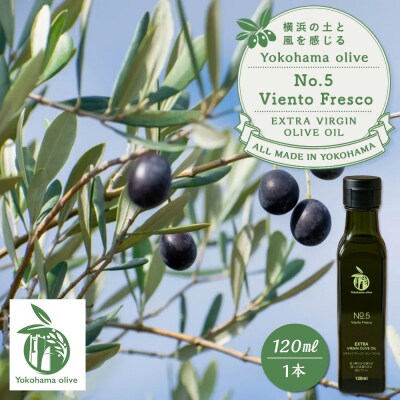 横浜オリーブ　No.5ビエントフレスコ　エクストラバージンオリーブオイル120ml