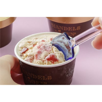 	ハンデルスベーゲン 無添加アイスクリーム / 季節の6個セット【春】季節限定