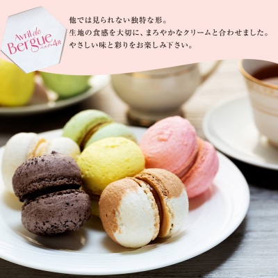 【ベルグの4月】マカロン12個入