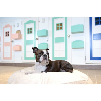 【WANCOTT】ドッグホテル利用券　10,000円分