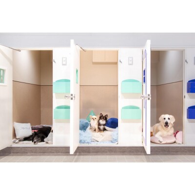 【WANCOTT】ドッグホテル利用券　10,000円分