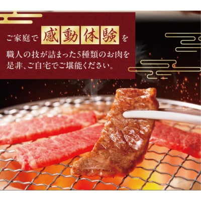 焼肉　極　5種盛りセット　合計500g