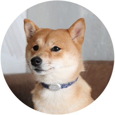 【Sizeオーダーあり】ザオラル・リカバリーαバンド NV/SI