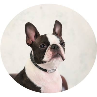 【Size27cm】ザオラル・リカバリーαバンド BK/SI