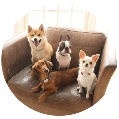 【Sizeオーダーあり】ザオラル・リカバリーαバンド BK/SI