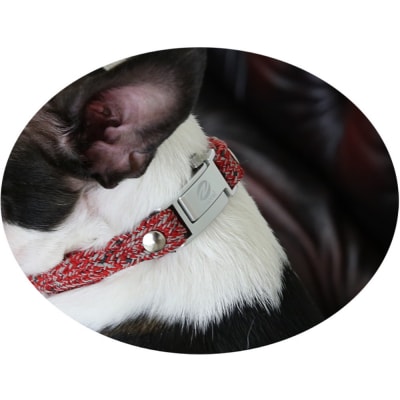 【Size27cm】ザオラル・リカバリーαバンド RD/SI