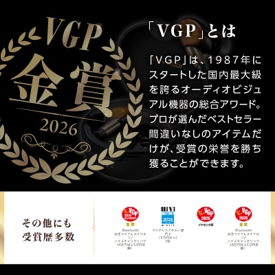 【ピアノブラック】Victor ワイヤレスイヤホン HA-FW5000T