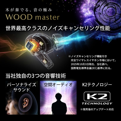 【ピアノブラック】Victor ワイヤレスイヤホン HA-FW5000T