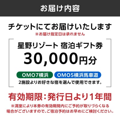 星野リゾート 横浜市ふるさと納税宿泊ギフト券(30000円分)【AQL0002】 
