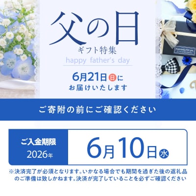 【父の日ギフト】VANILLABEANS ショーコラ&パリトロ 8個入