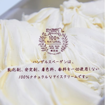 ハンデルスベーゲン 無添加アイスクリーム / 季節の6個セット【夏】季節限定