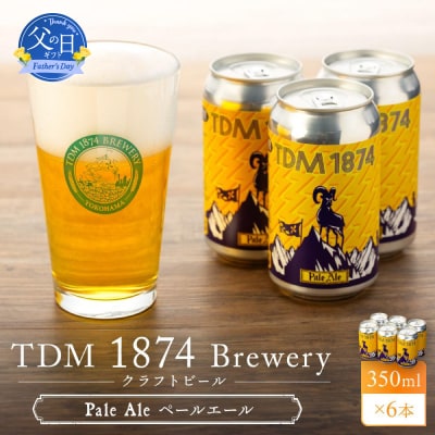 【父の日ギフト】TDM 1874 Brewery クラフトビール Pale Ale 350ml×6本