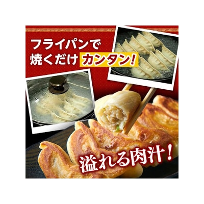 【父の日ギフト】横浜大宝餃子 もちもち肉汁 ジャンボ餃子 60個(30×2)
