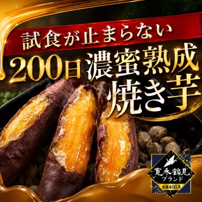 【テレビ出演で話題沸騰】200日極限まで熟成させた『濃密熟成焼き芋』お試し1キロ_AJR0001