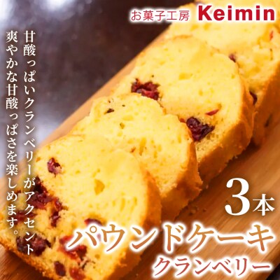 パウンドケーキ(クランベリー)8×17cm 3本_ASJ0025
