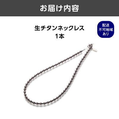 生チタンネックレス_ASB0004