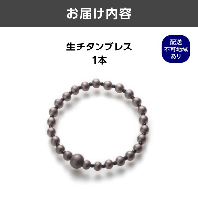 生チタンブレス_ASB0005