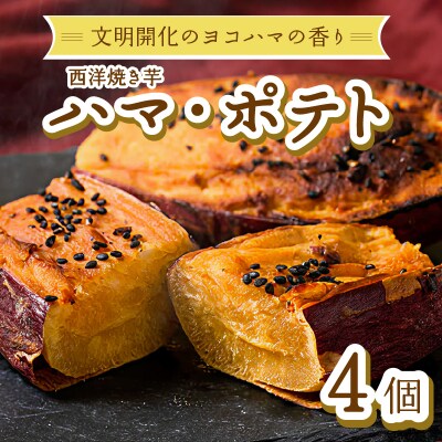 西洋焼き芋「ハマポテト」4個セット_ALG0004