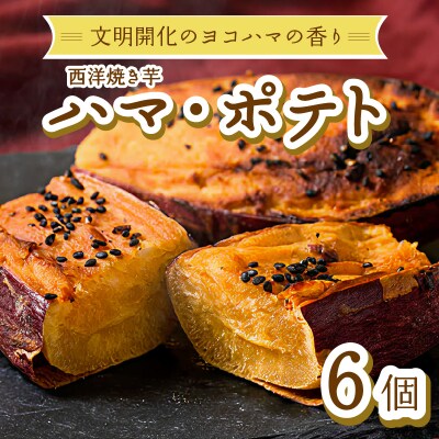 西洋焼き芋「ハマポテト」6個セット_ALG0009
