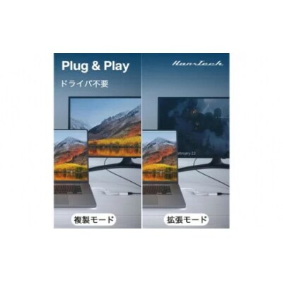 Hanx-Tech USBC DP1.2 変換アダプタ