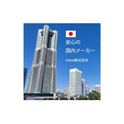 Hanx-Tech USBC DP1.2 変換アダプタ